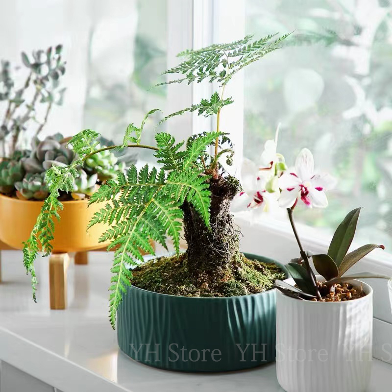 Versatile Silicone Mold for DI – обзор и цена Terrazzo Pot Cement