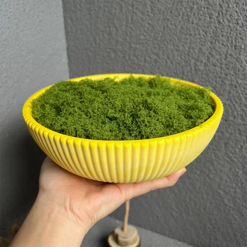 A Top Quality Large Striped Bo – обзор и цена Terrazzo Pot Cement