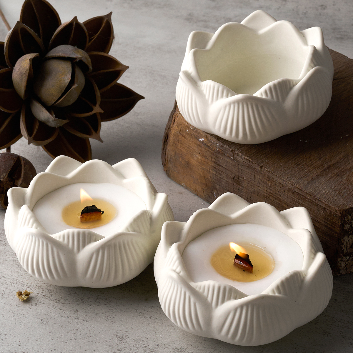 Lotus Shape Candle Holder Plas – обзор и цена Terrazzo Pot Cement